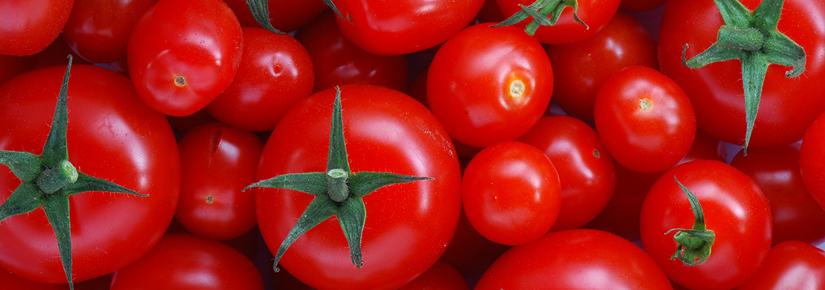 Kompostas pomidorams